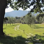 Orman Evi Casa Legna