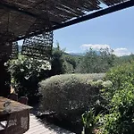 Orman Evi Casa Legna Pigna