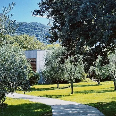 Casa Legna Lodge *