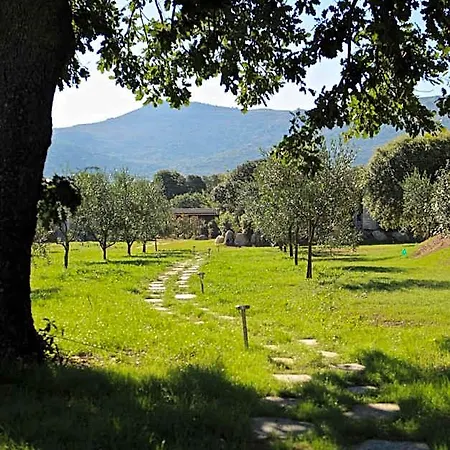 Casa Legna *